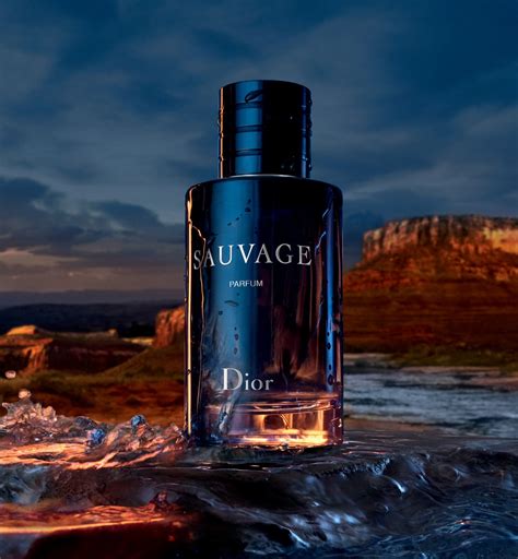 boite parfum dior sauvage|dior sauvage best price.